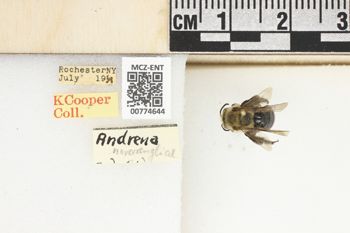 Media type: image;   Entomology 774644 Aspect: Labels